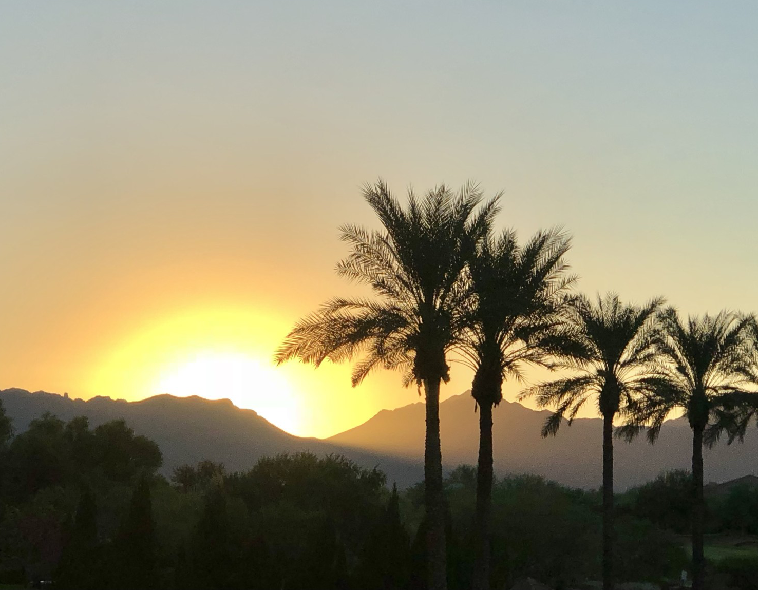Arizona photo crop